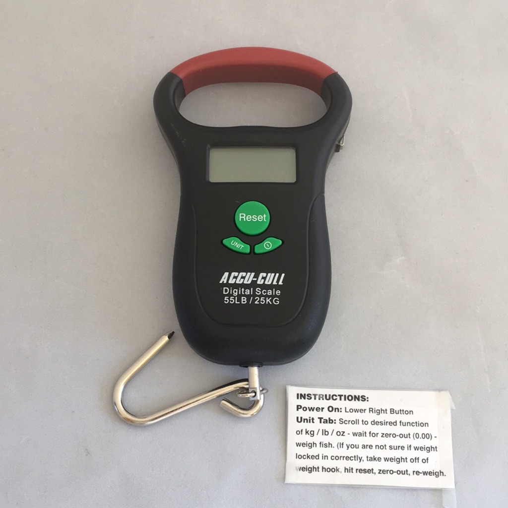 Digital Scale